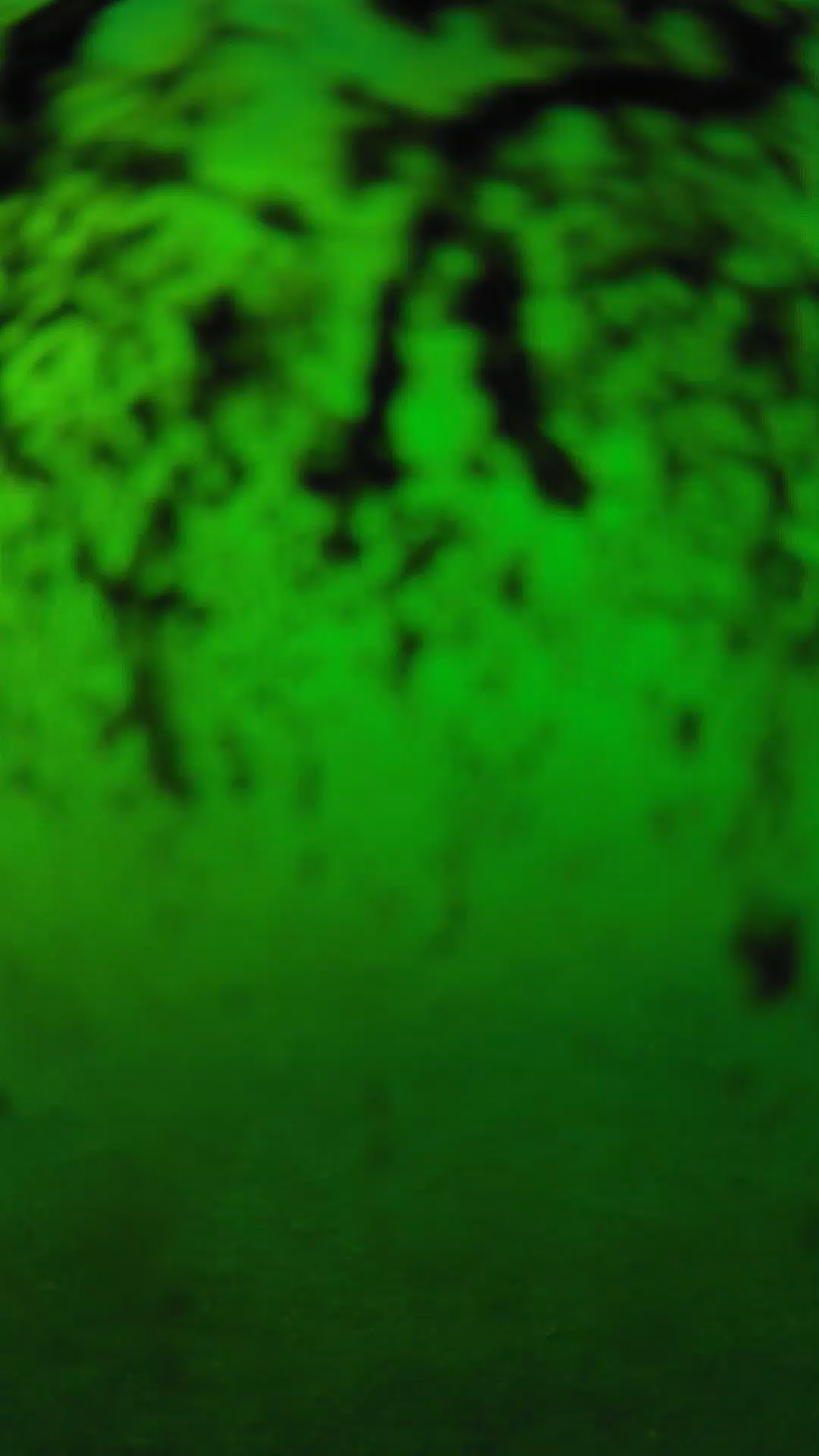 lander_ipcam_20240704173600.png