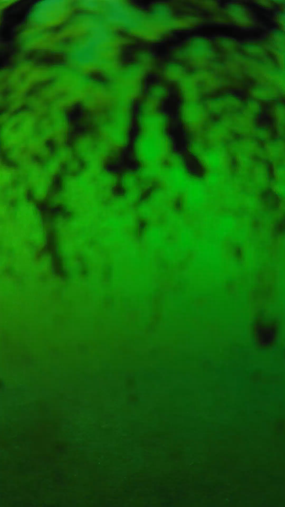 lander_ipcam_20240704180538.png