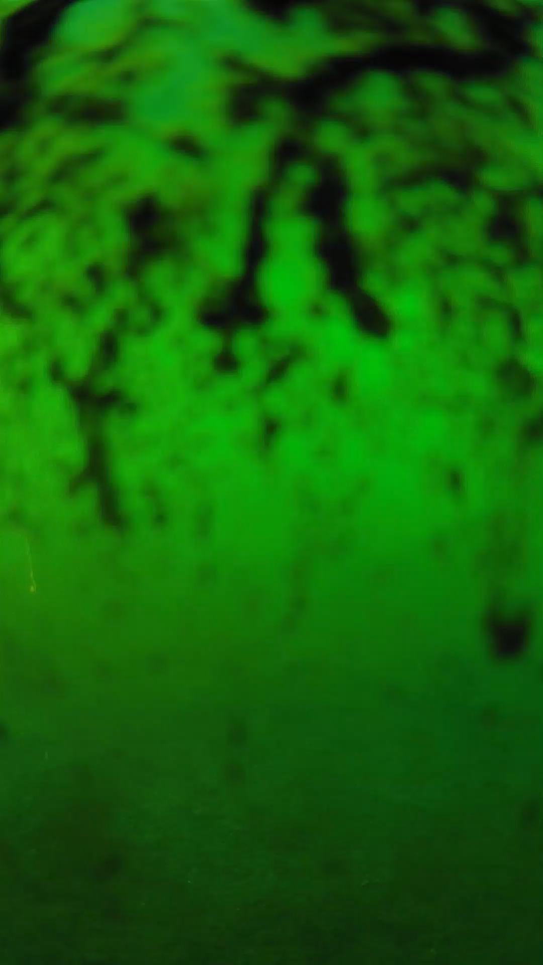 lander_ipcam_20240704180553.png