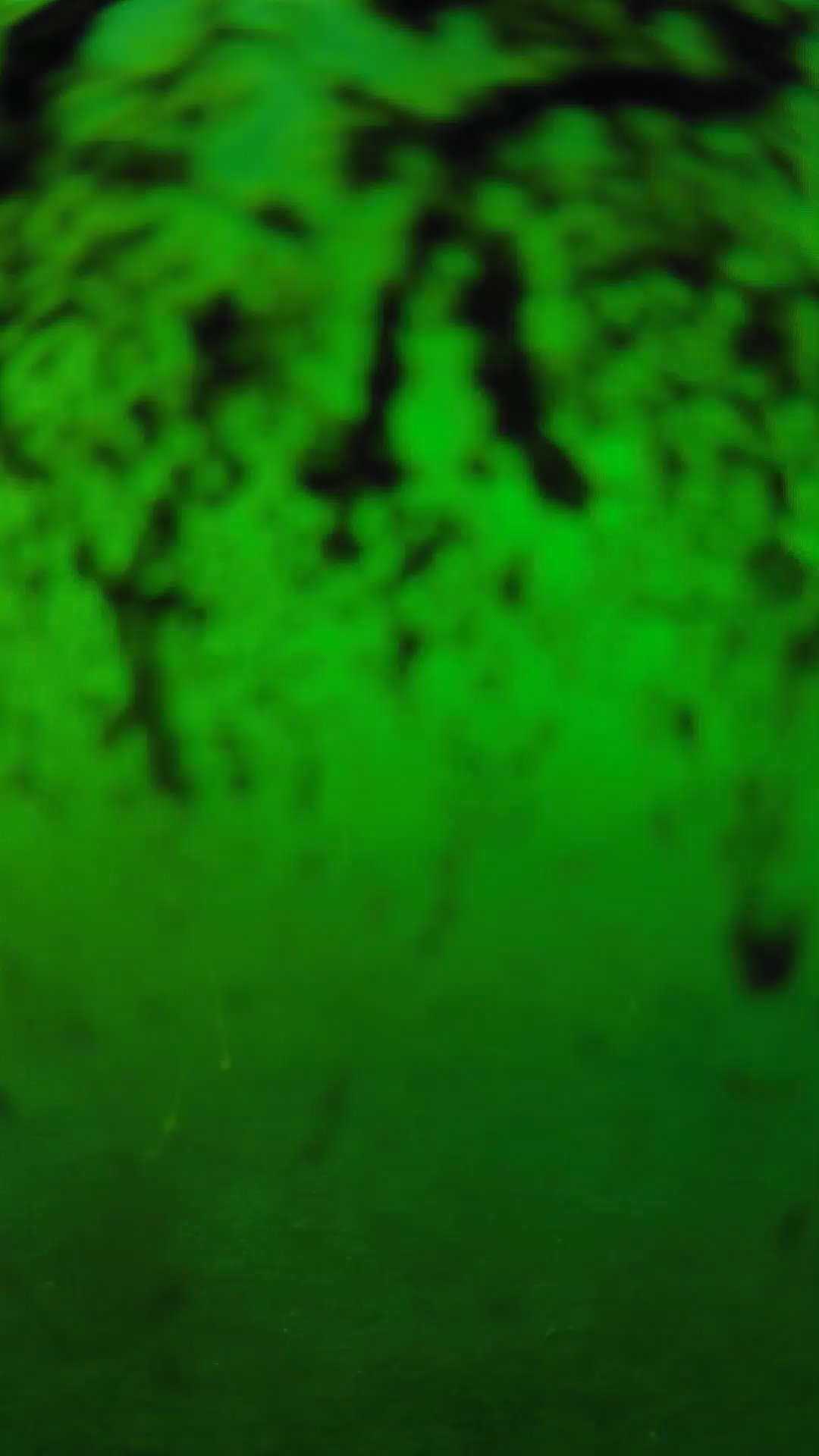 lander_ipcam_20240704180601.png