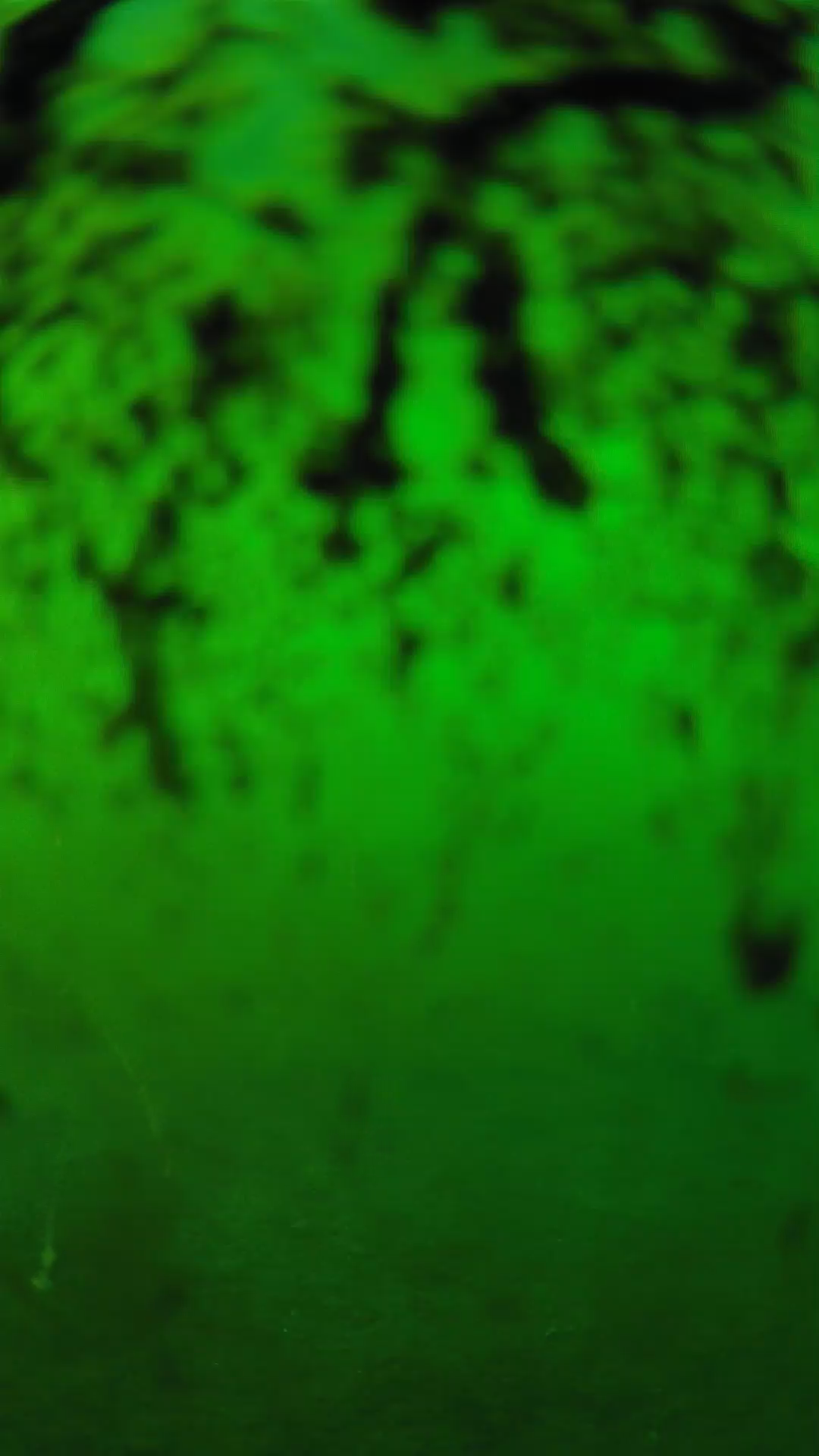 lander_ipcam_20240704180605.png