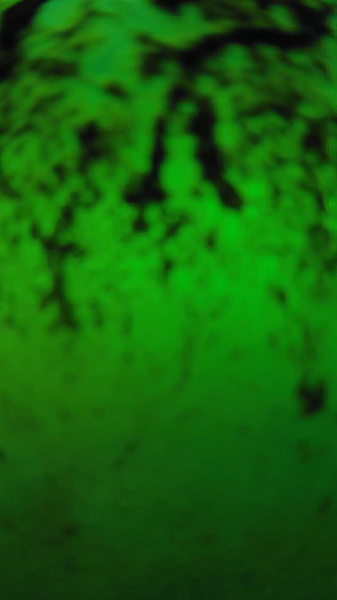 lander_ipcam_20240704183542.png