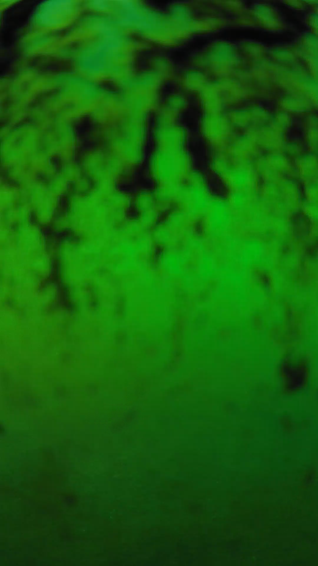 lander_ipcam_20240704183550.png