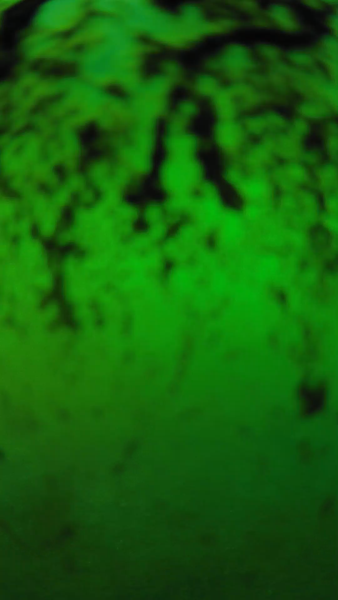 lander_ipcam_20240704183557.png