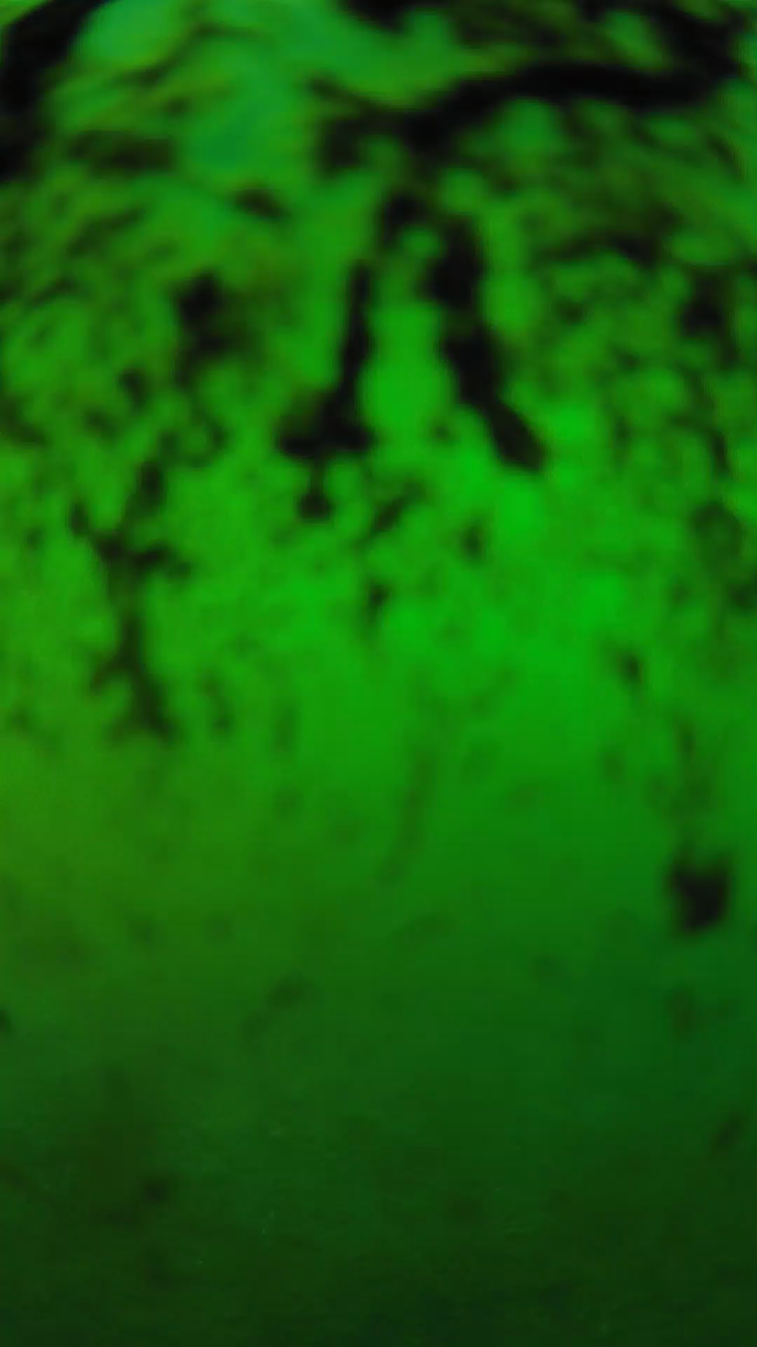lander_ipcam_20240704183606.png