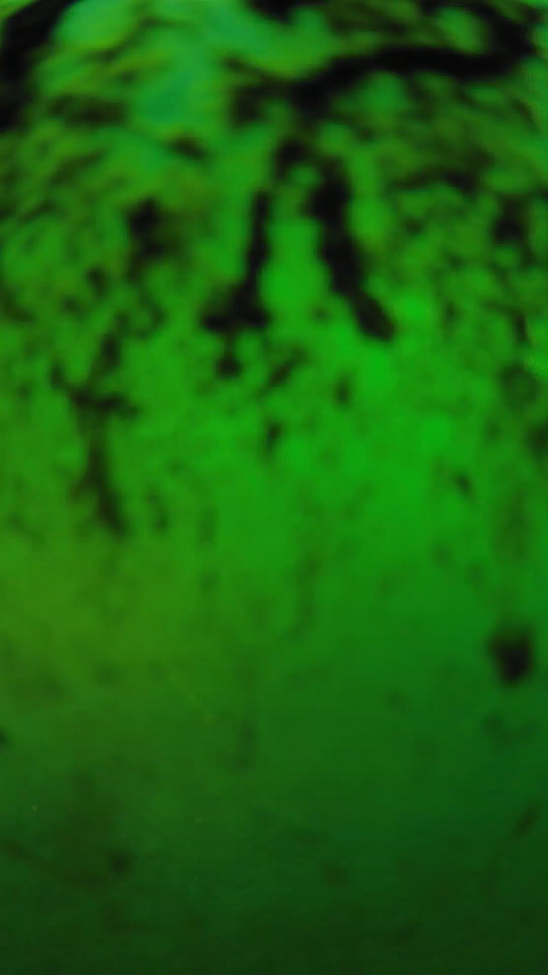 lander_ipcam_20240704190538.png