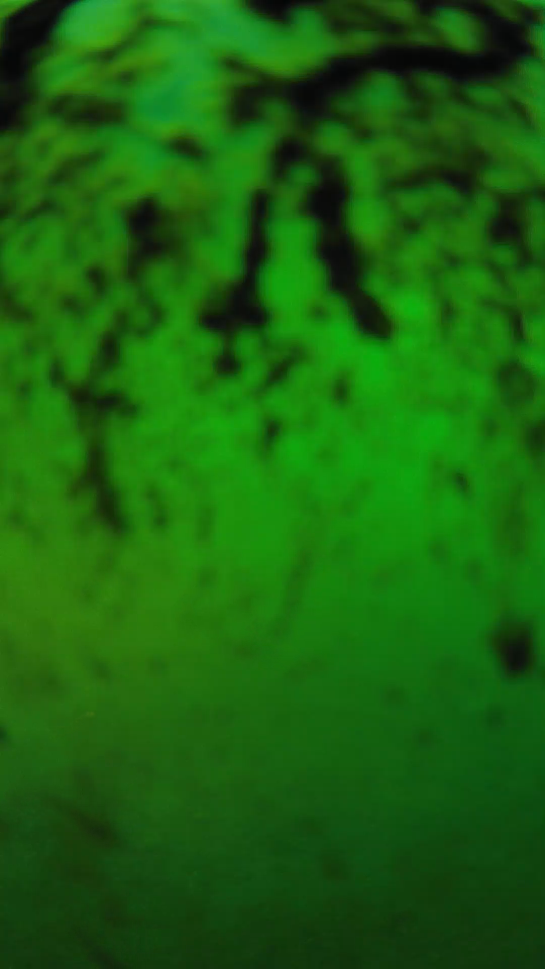 lander_ipcam_20240704190542.png