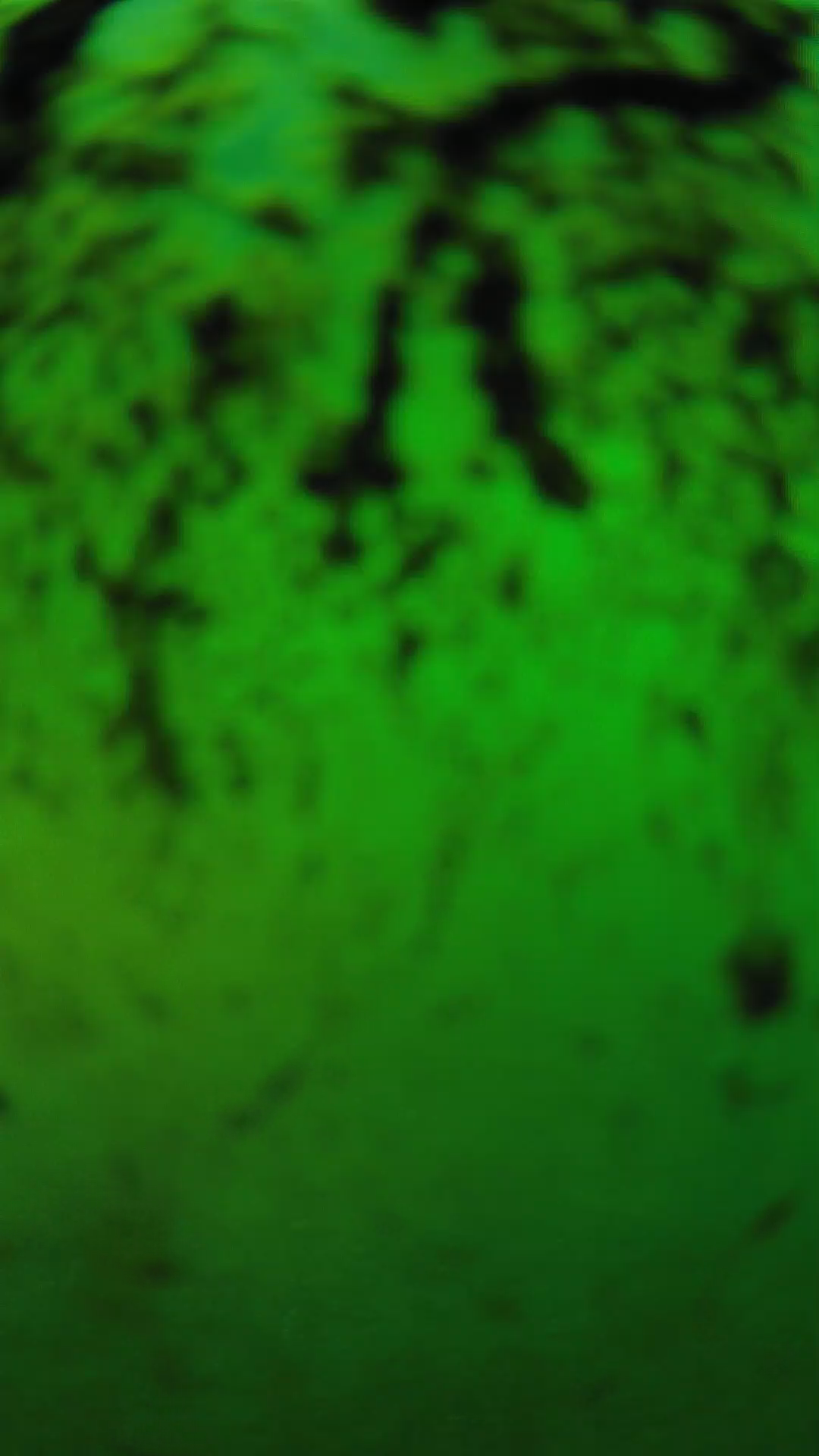 lander_ipcam_20240704190545.png