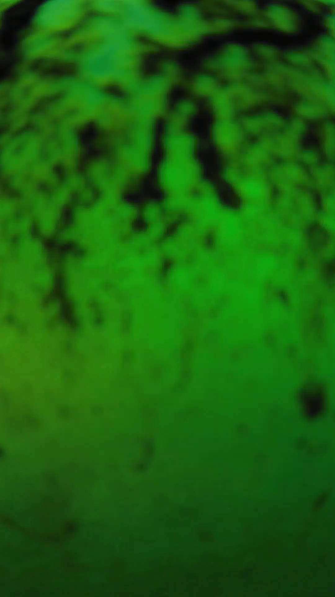 lander_ipcam_20240704190549.png