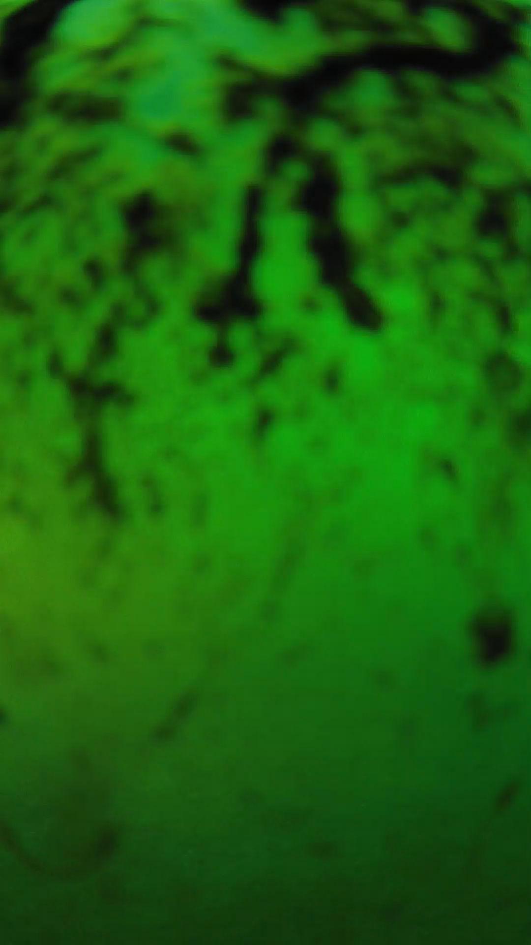 lander_ipcam_20240704190556.png