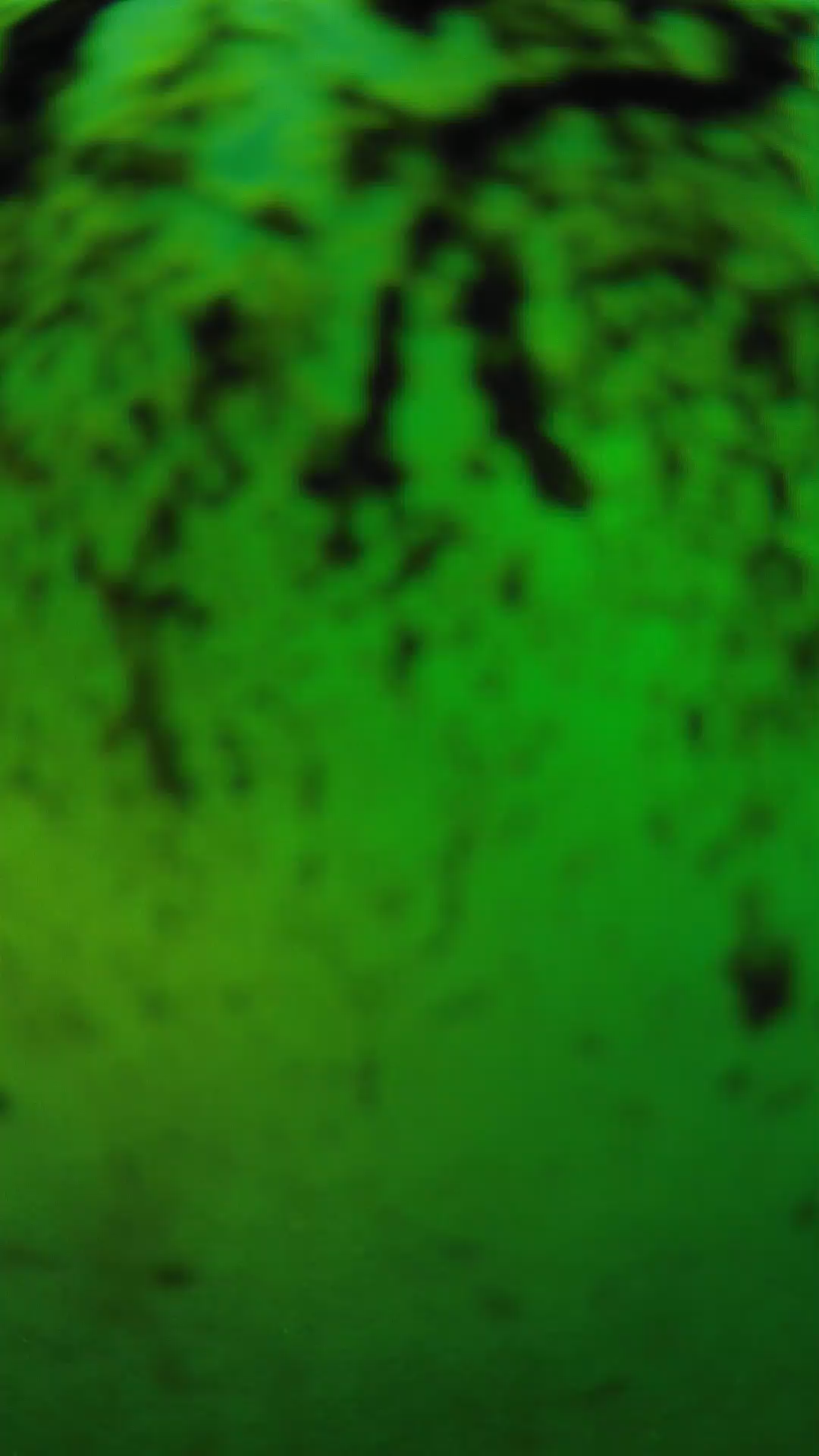 lander_ipcam_20240704193543.png