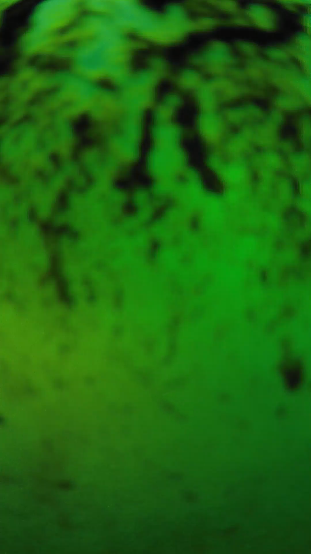 lander_ipcam_20240704193546.png
