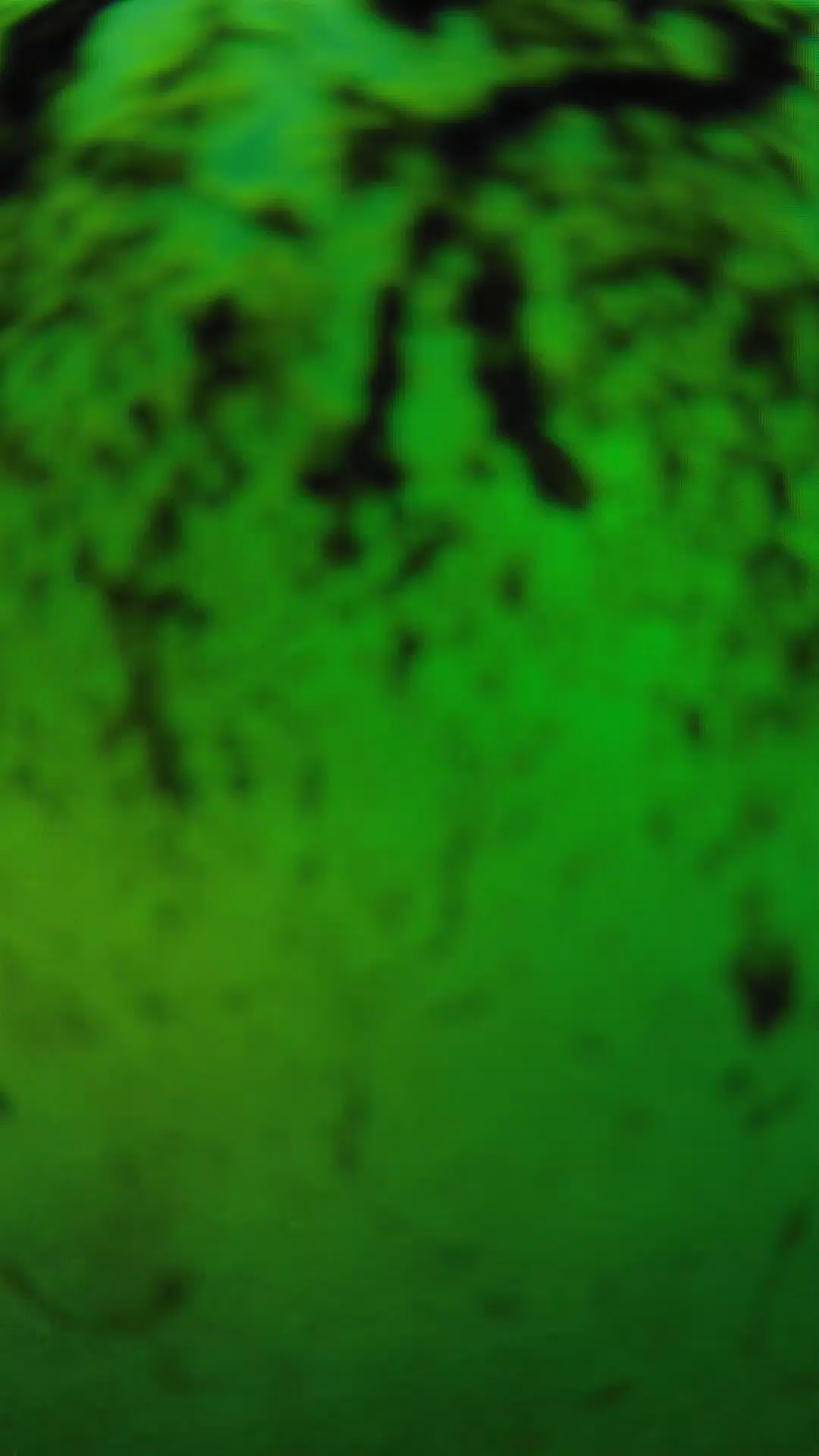 lander_ipcam_20240704193556.png