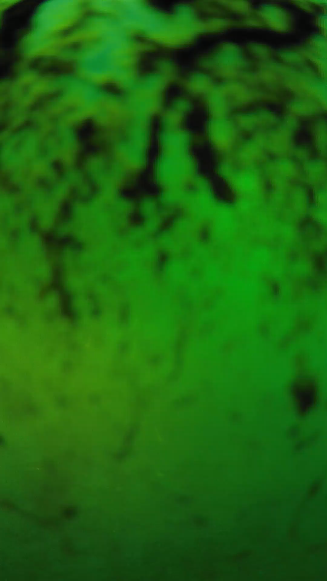 lander_ipcam_20240704193609.png