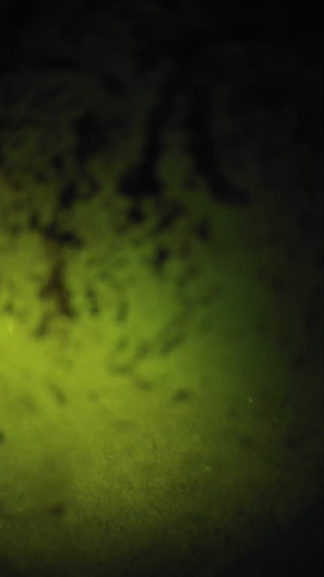 lander_ipcam_20240704223539.png