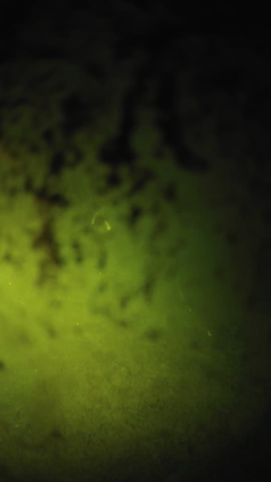 lander_ipcam_20240704223606.png