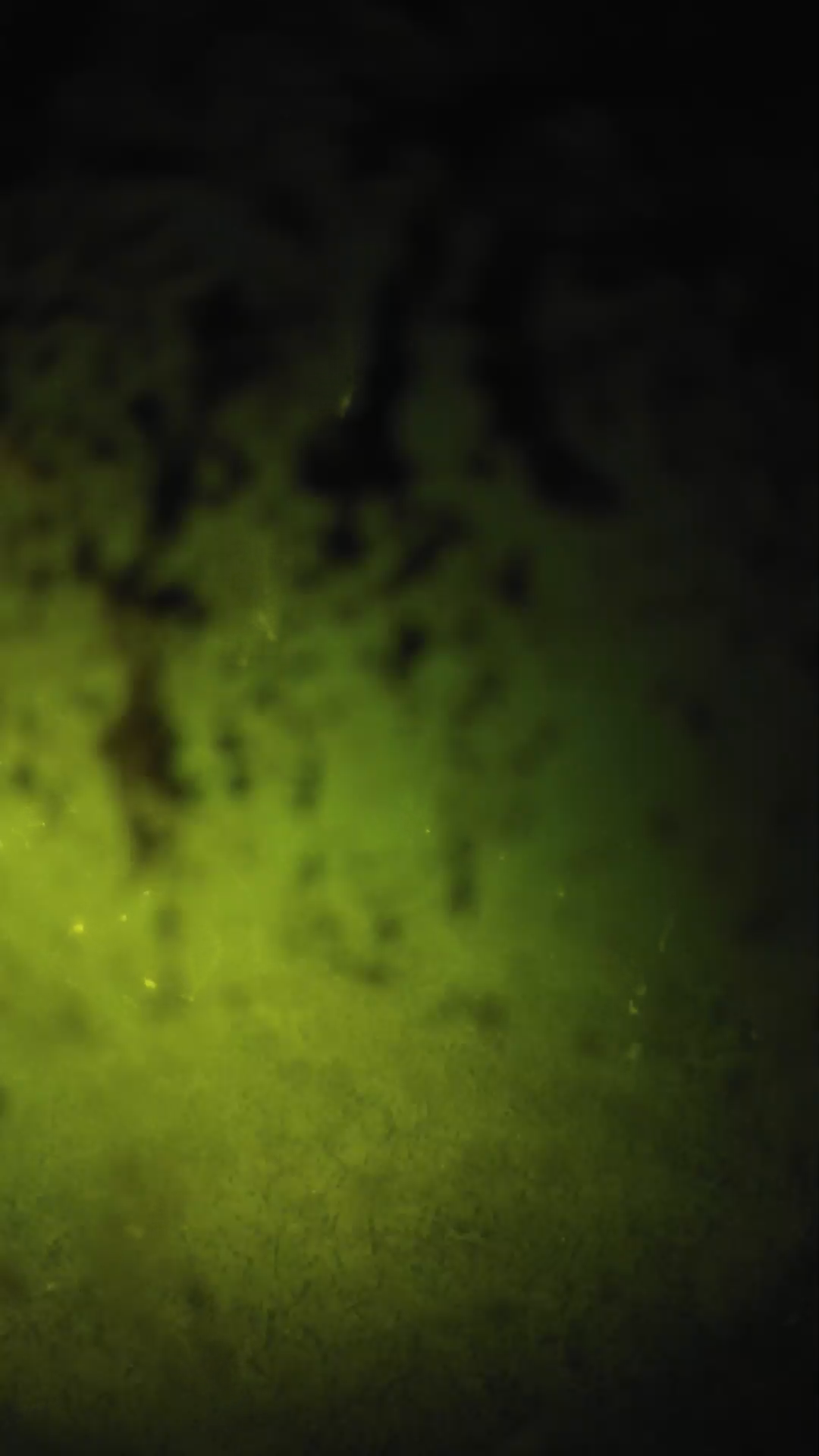 lander_ipcam_20240705000545.png
