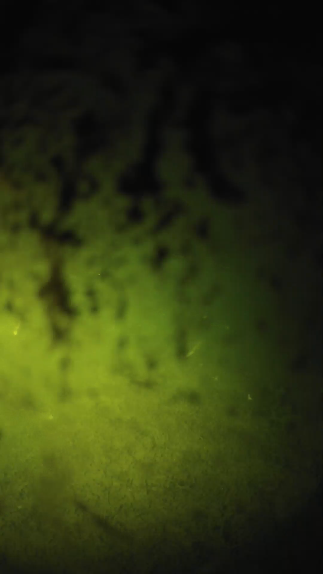 lander_ipcam_20240705000605.png