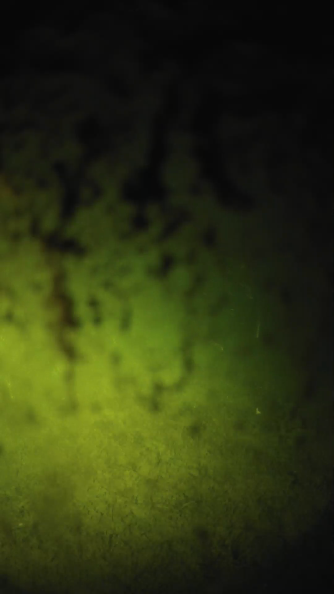 lander_ipcam_20240705030601.png