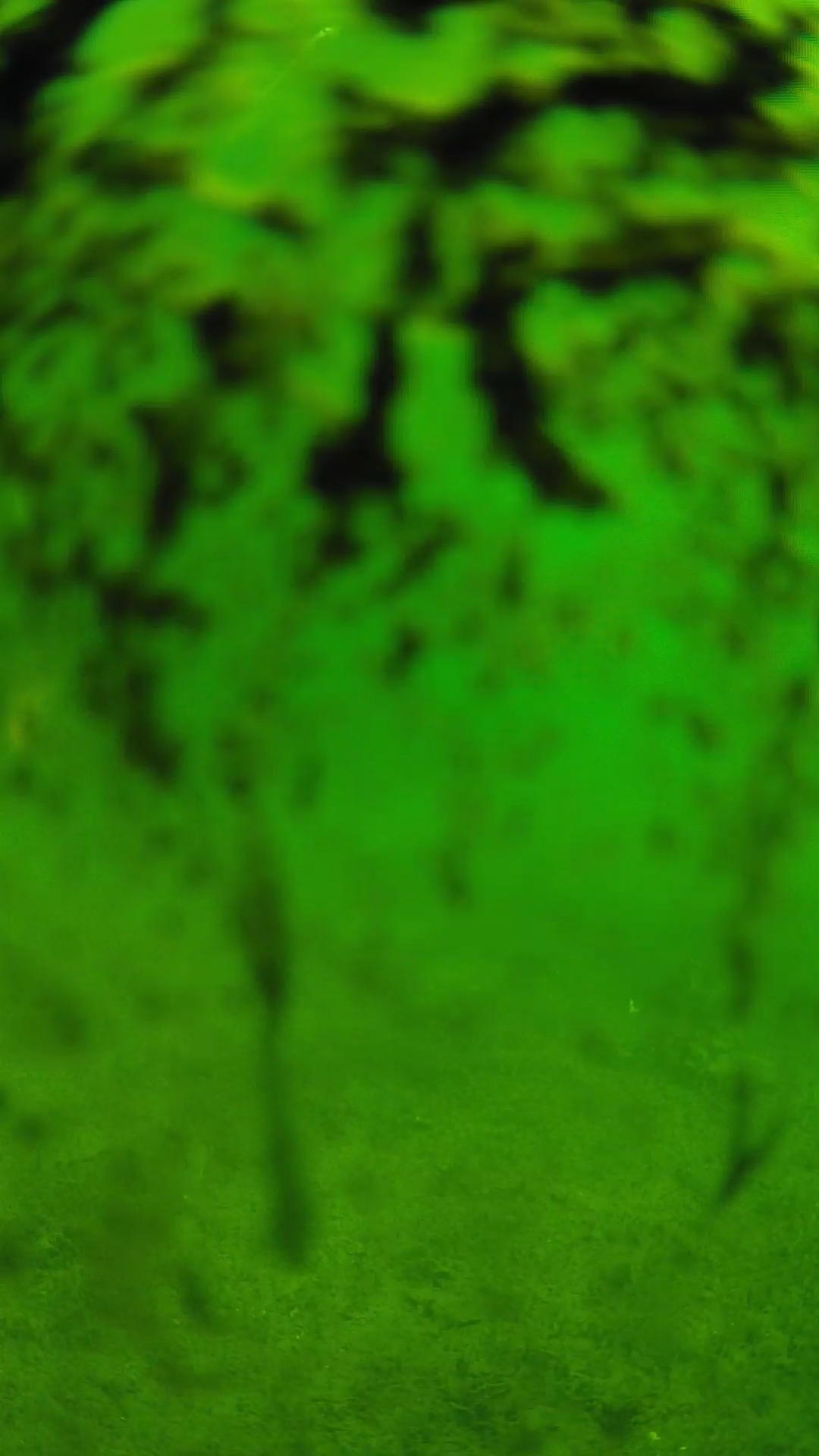 lander_ipcam_20240705090558.png