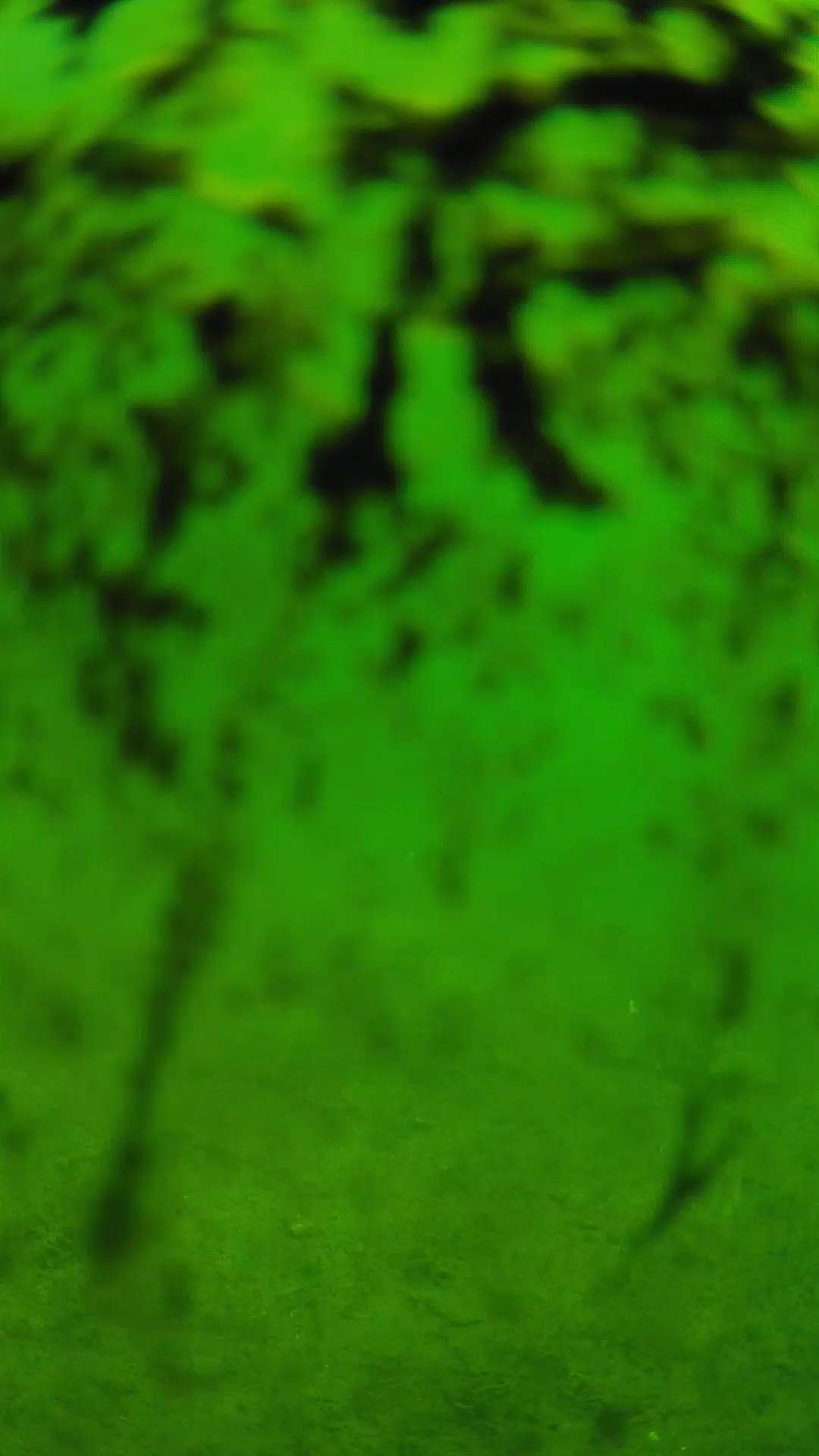 lander_ipcam_20240705093544.png