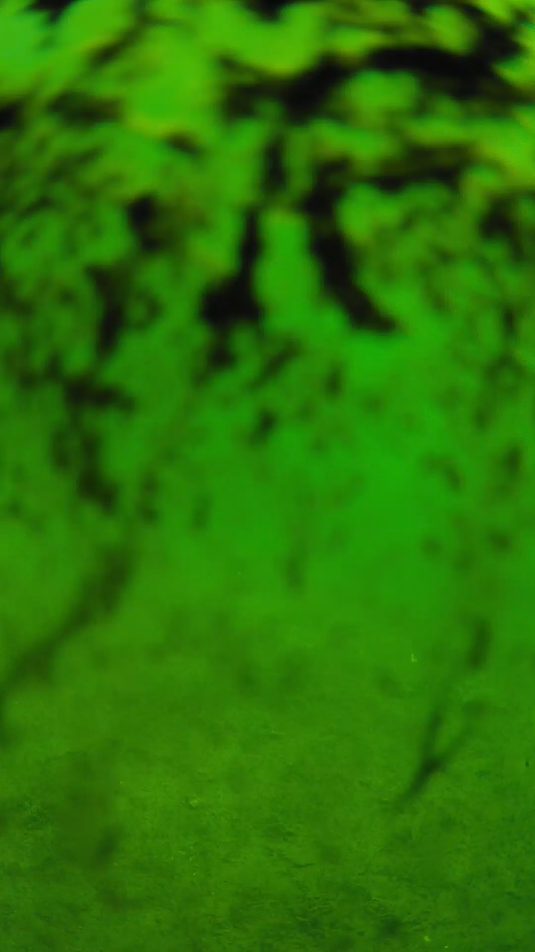 lander_ipcam_20240705093548.png