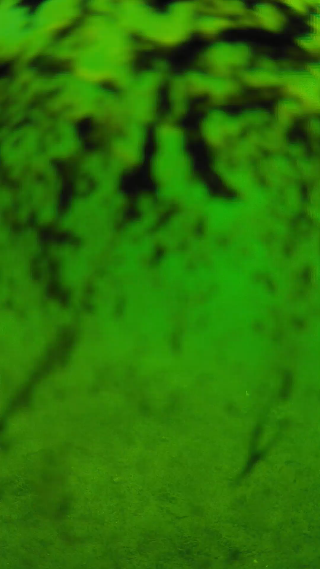 lander_ipcam_20240705093552.png