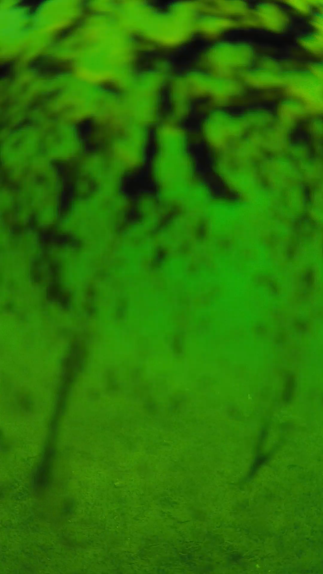 lander_ipcam_20240705093605.png