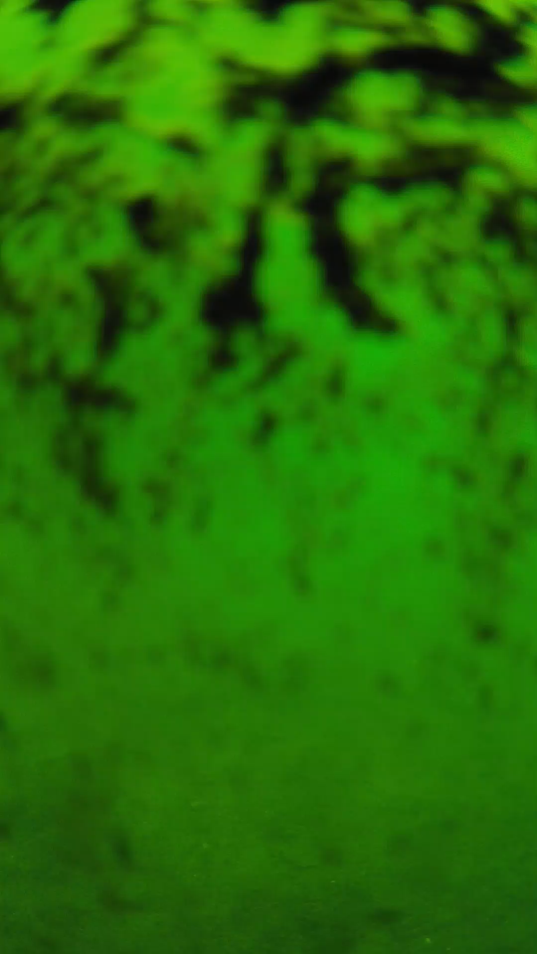 lander_ipcam_20240705103538.png