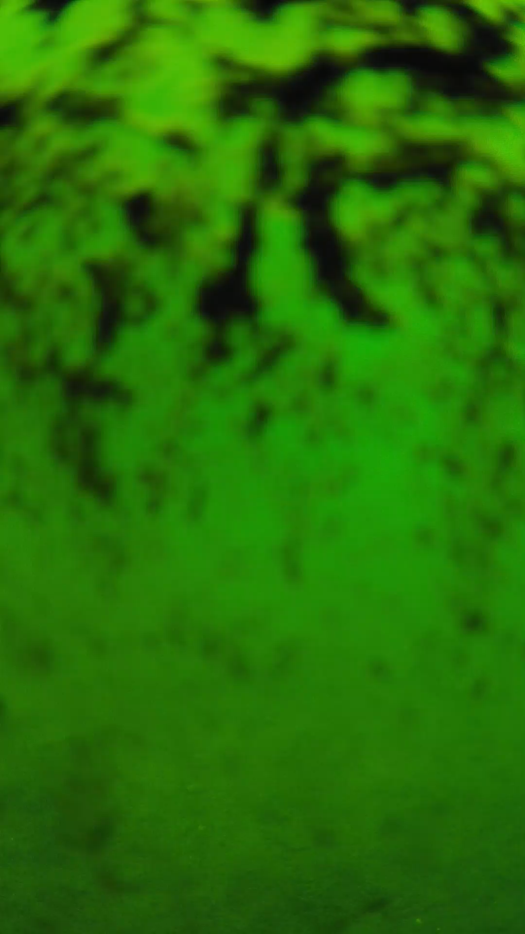 lander_ipcam_20240705103545.png