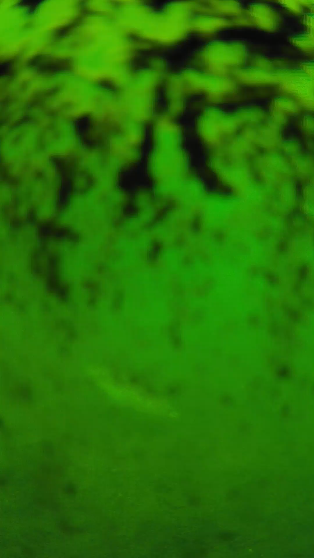 lander_ipcam_20240705103549.png