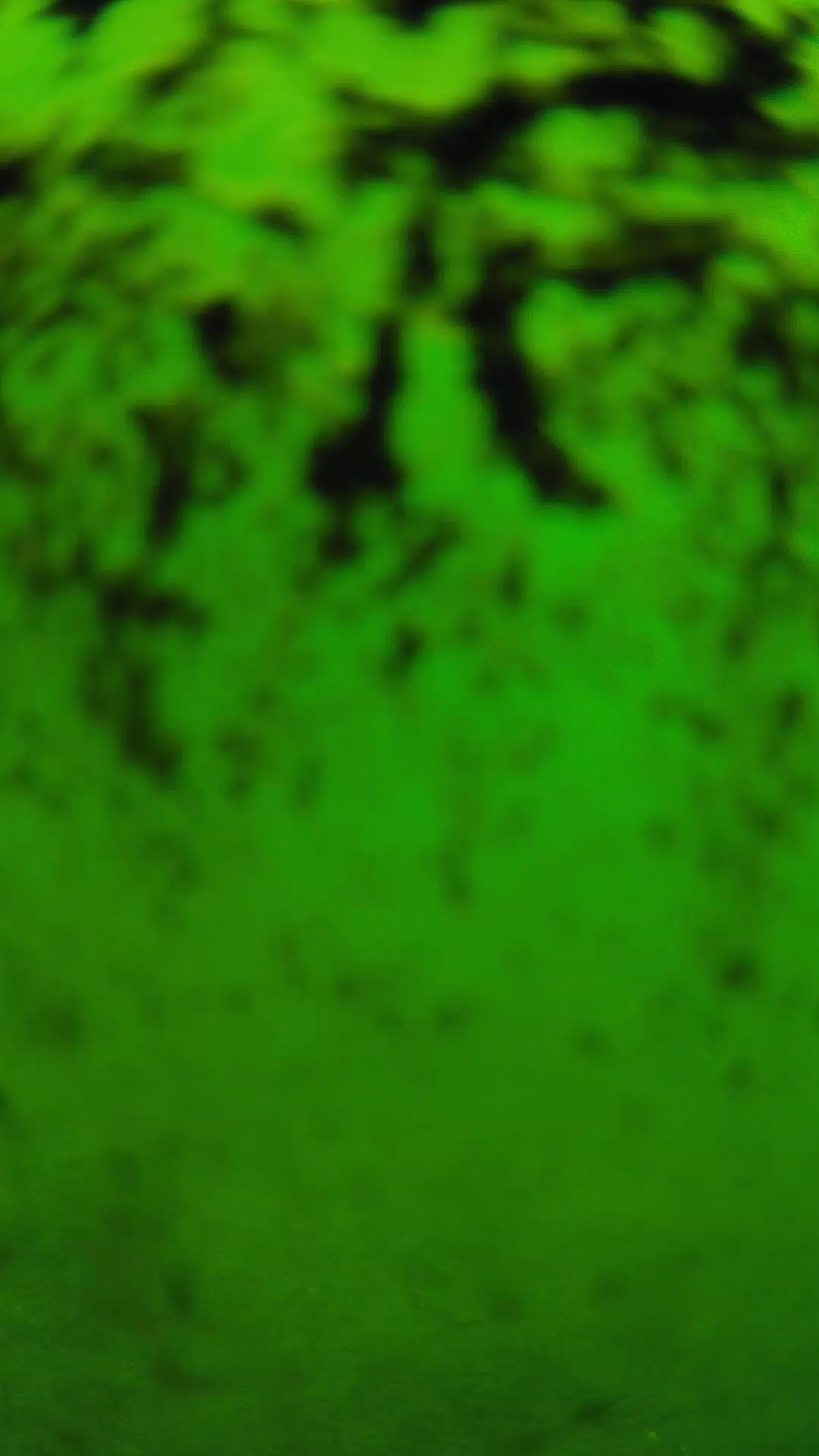 lander_ipcam_20240705103601.png
