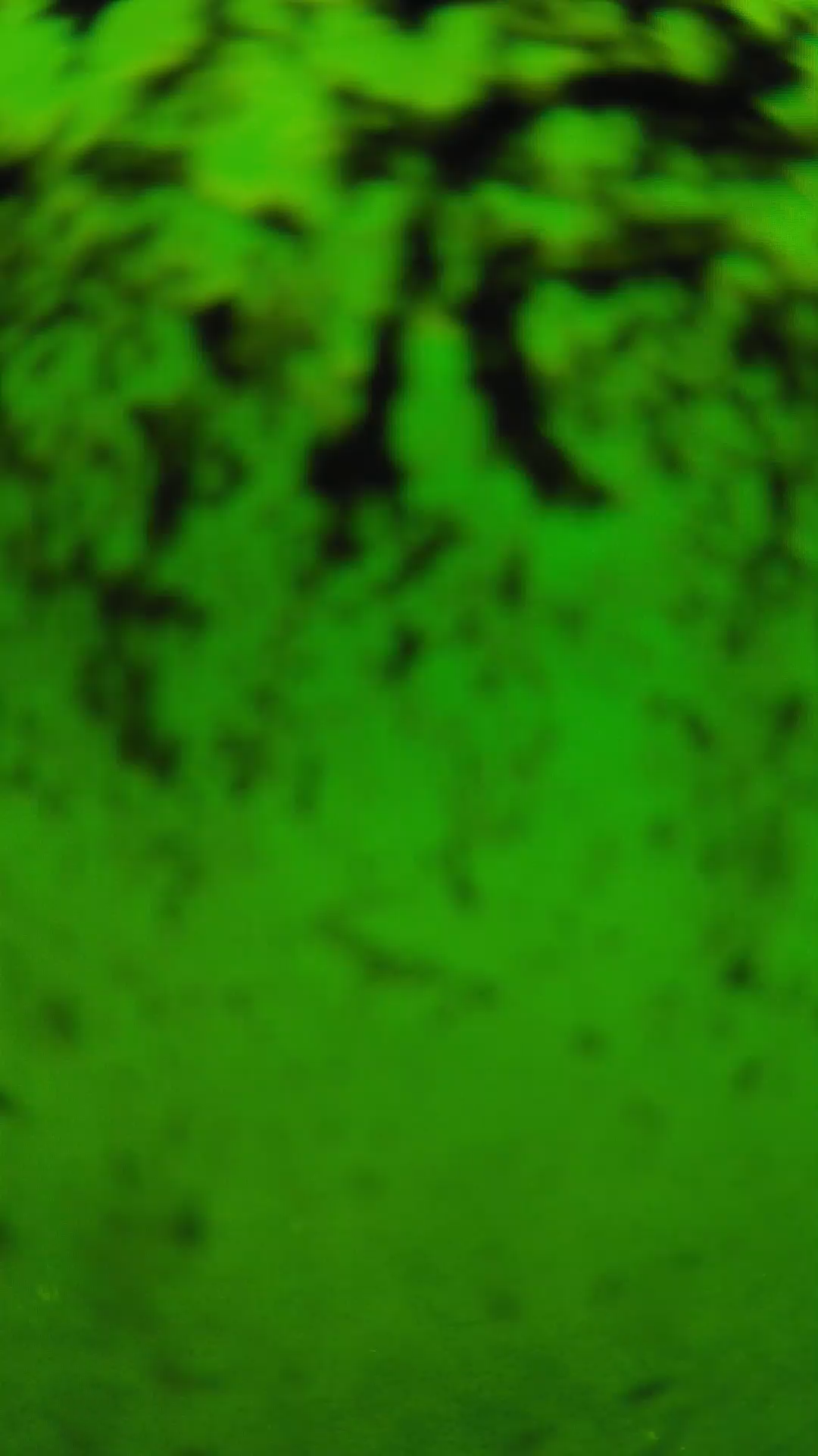 lander_ipcam_20240705110538.png