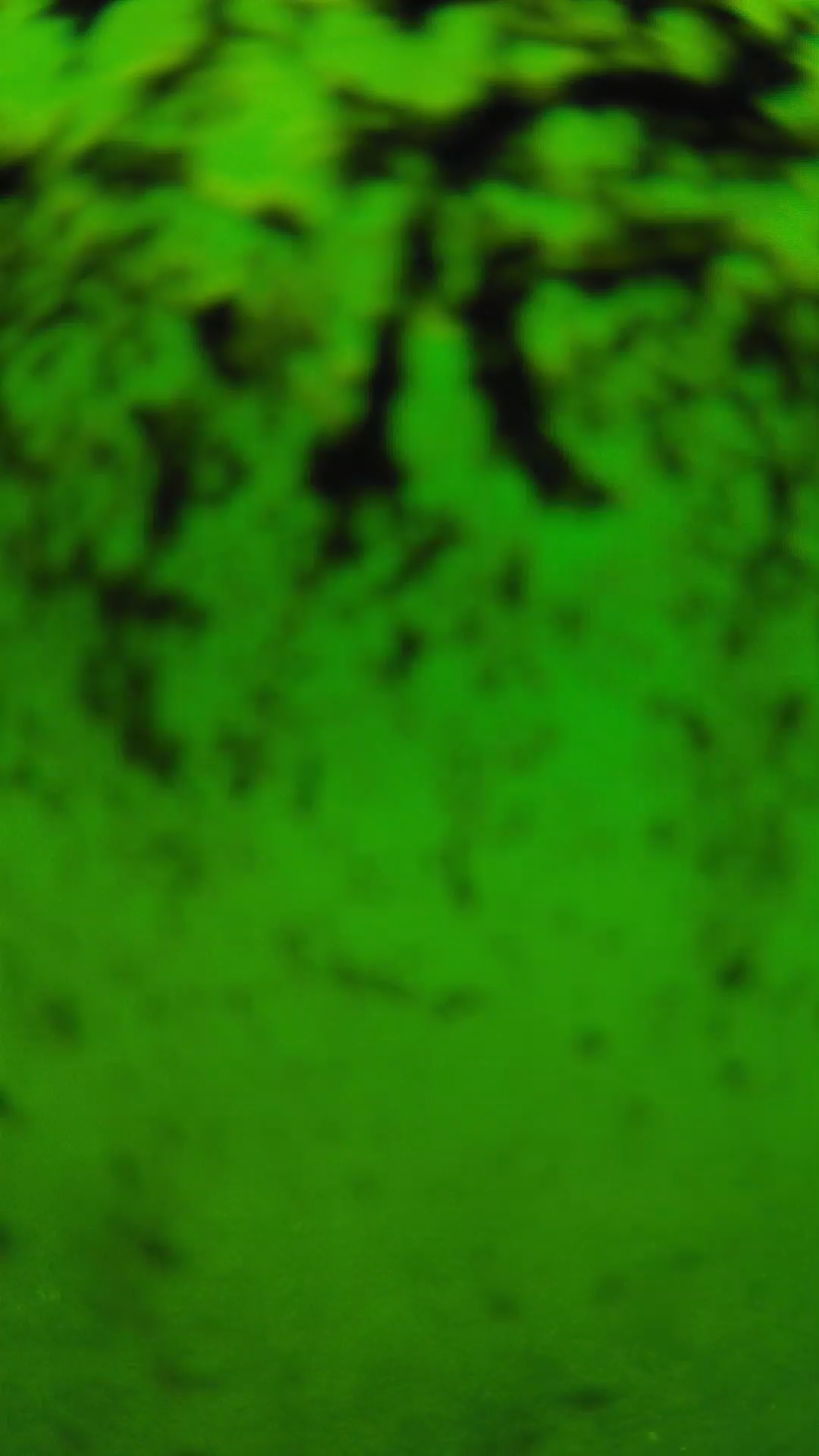 lander_ipcam_20240705110542.png