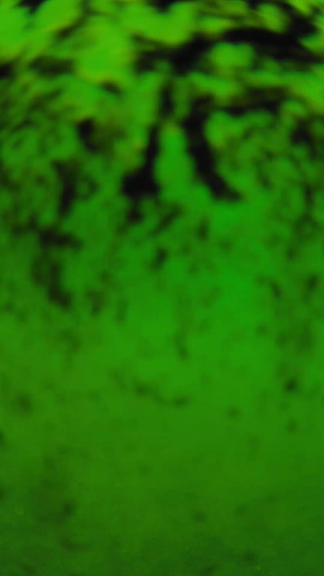 lander_ipcam_20240705110546.png