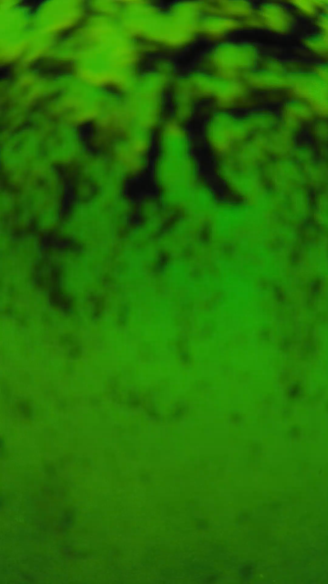 lander_ipcam_20240705110554.png