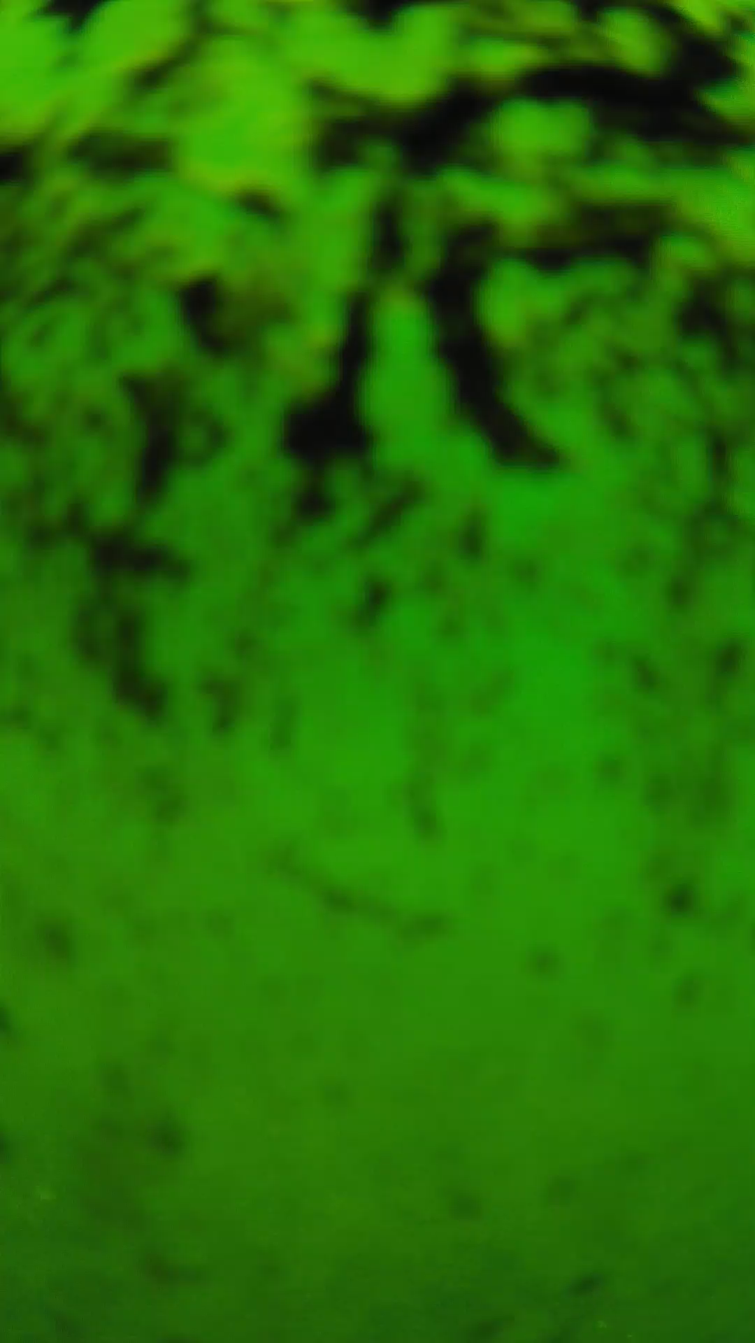 lander_ipcam_20240705110607.png