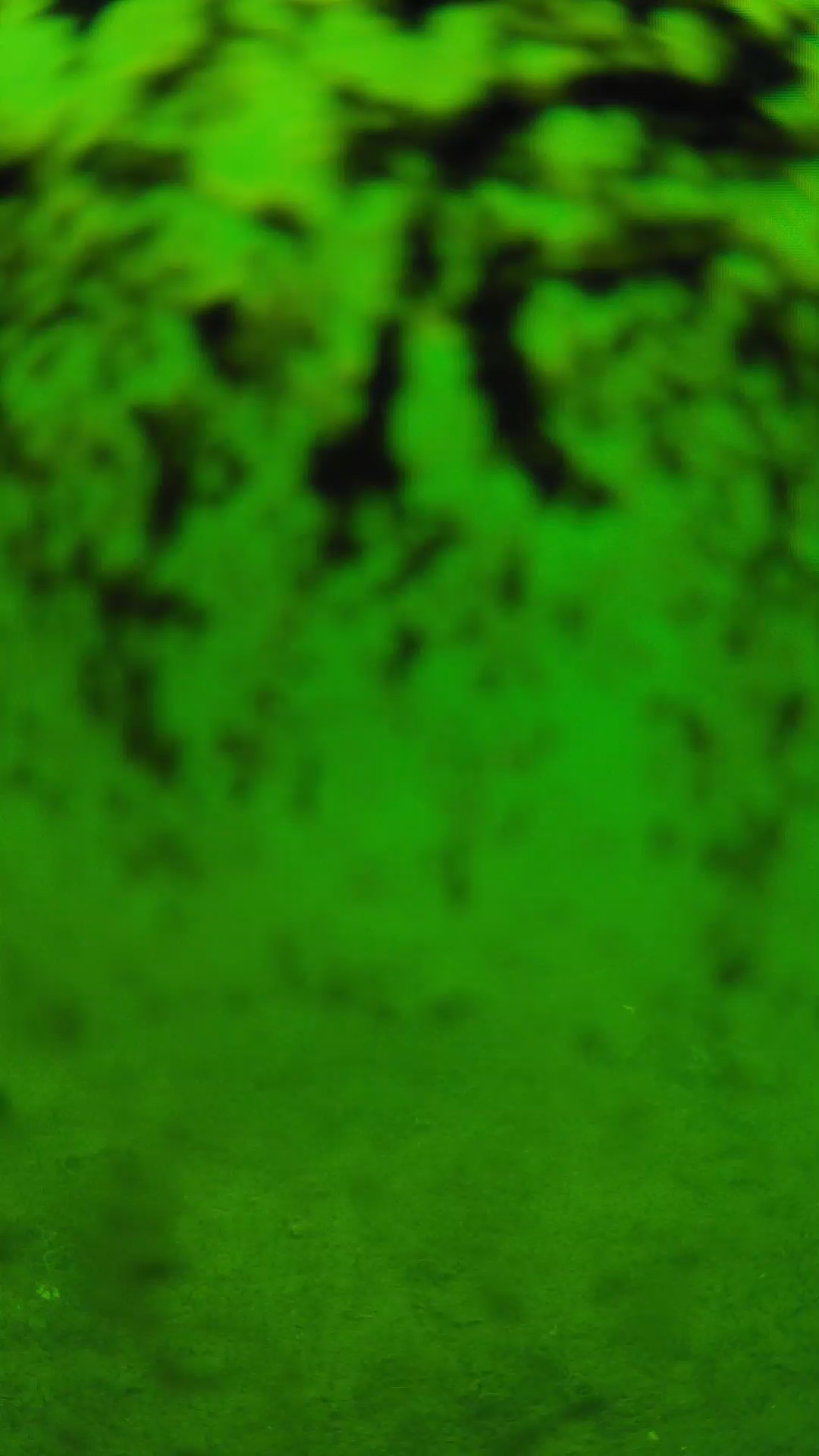 lander_ipcam_20240705113546.png