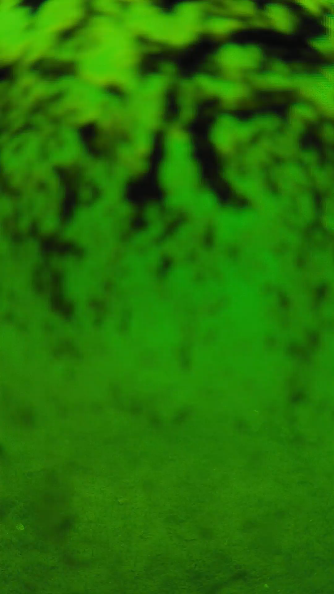 lander_ipcam_20240705113601.png