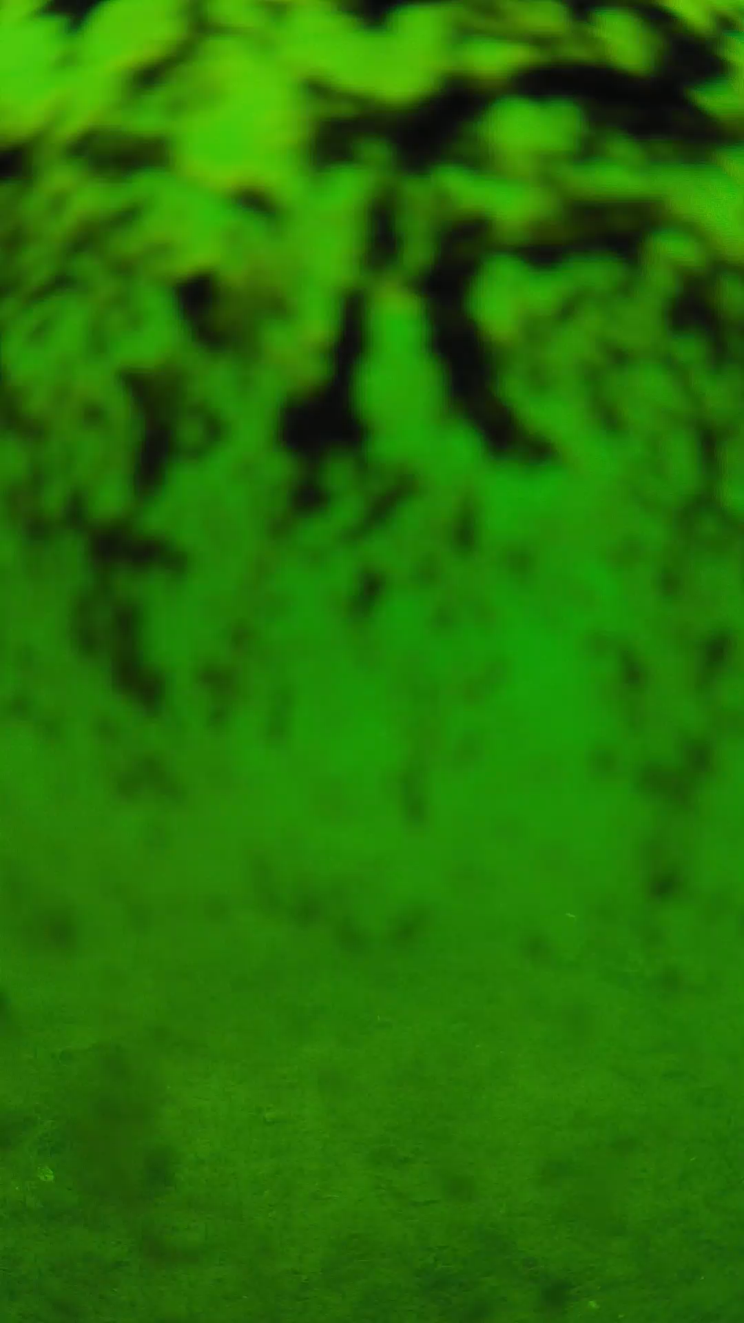 lander_ipcam_20240705113606.png