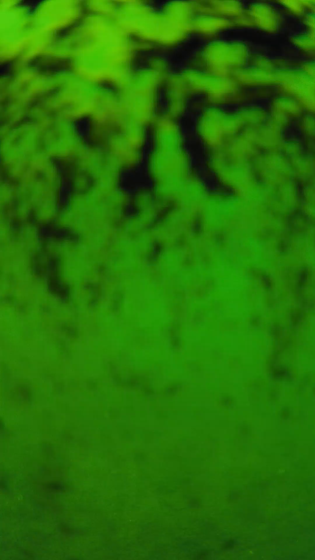lander_ipcam_20240705120539.png