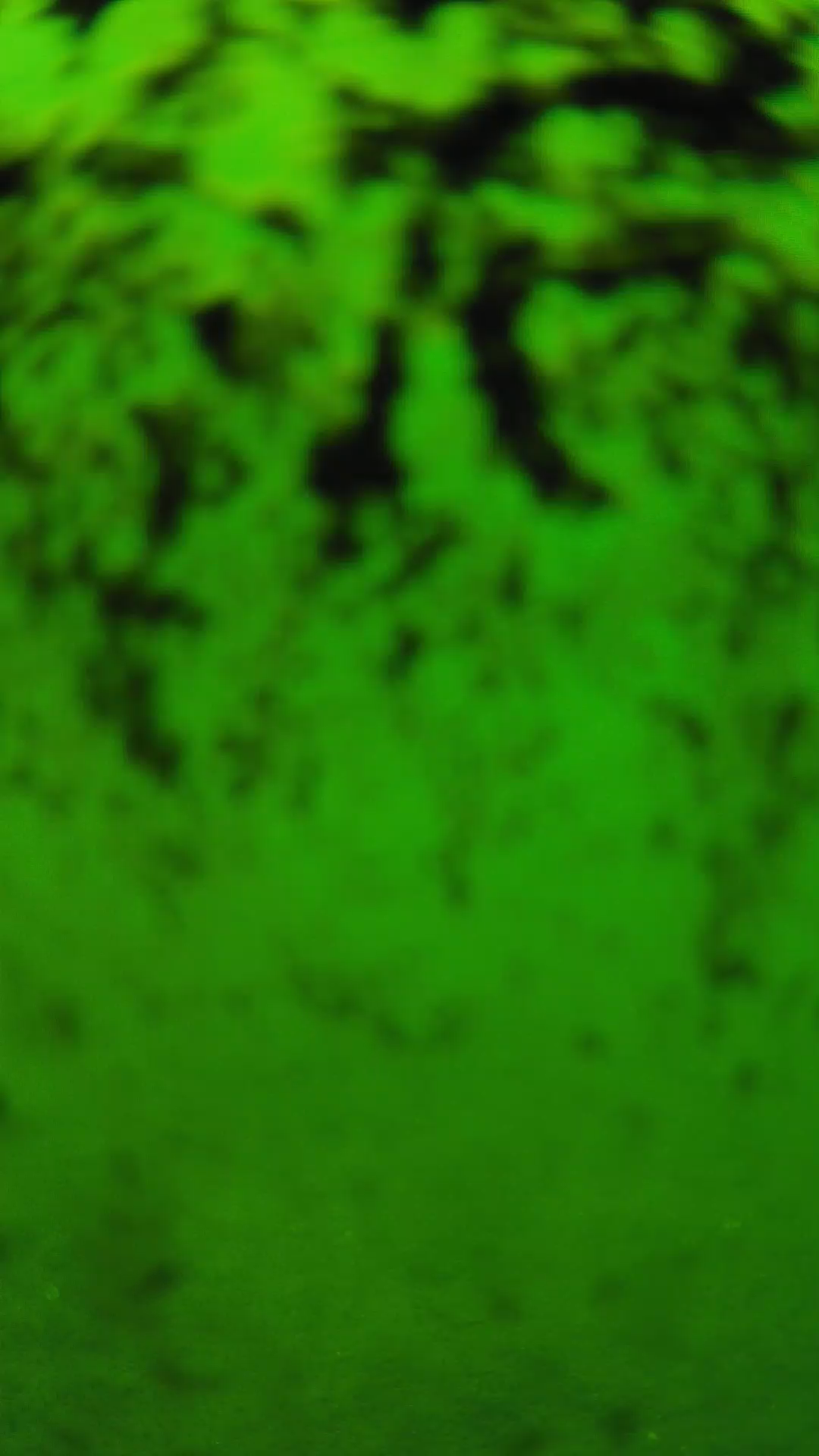 lander_ipcam_20240705120543.png