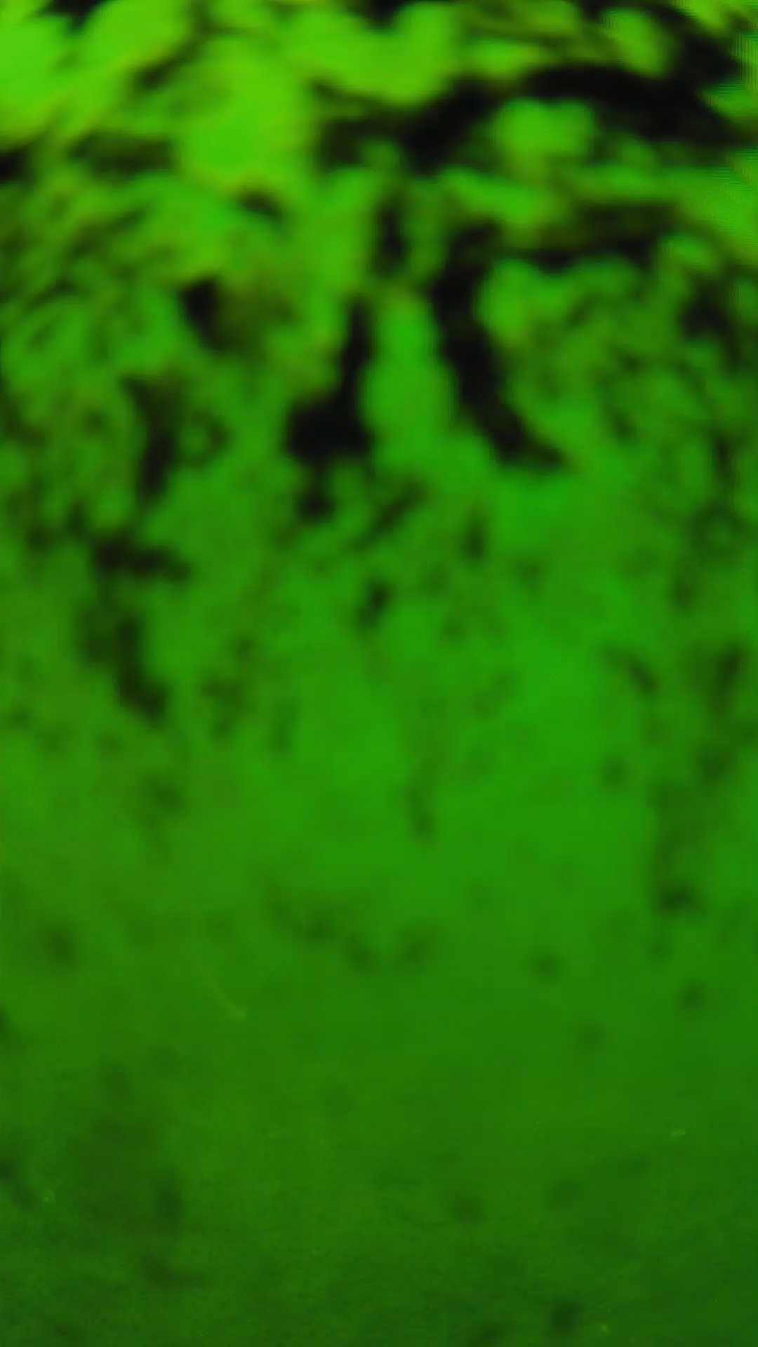 lander_ipcam_20240705120551.png