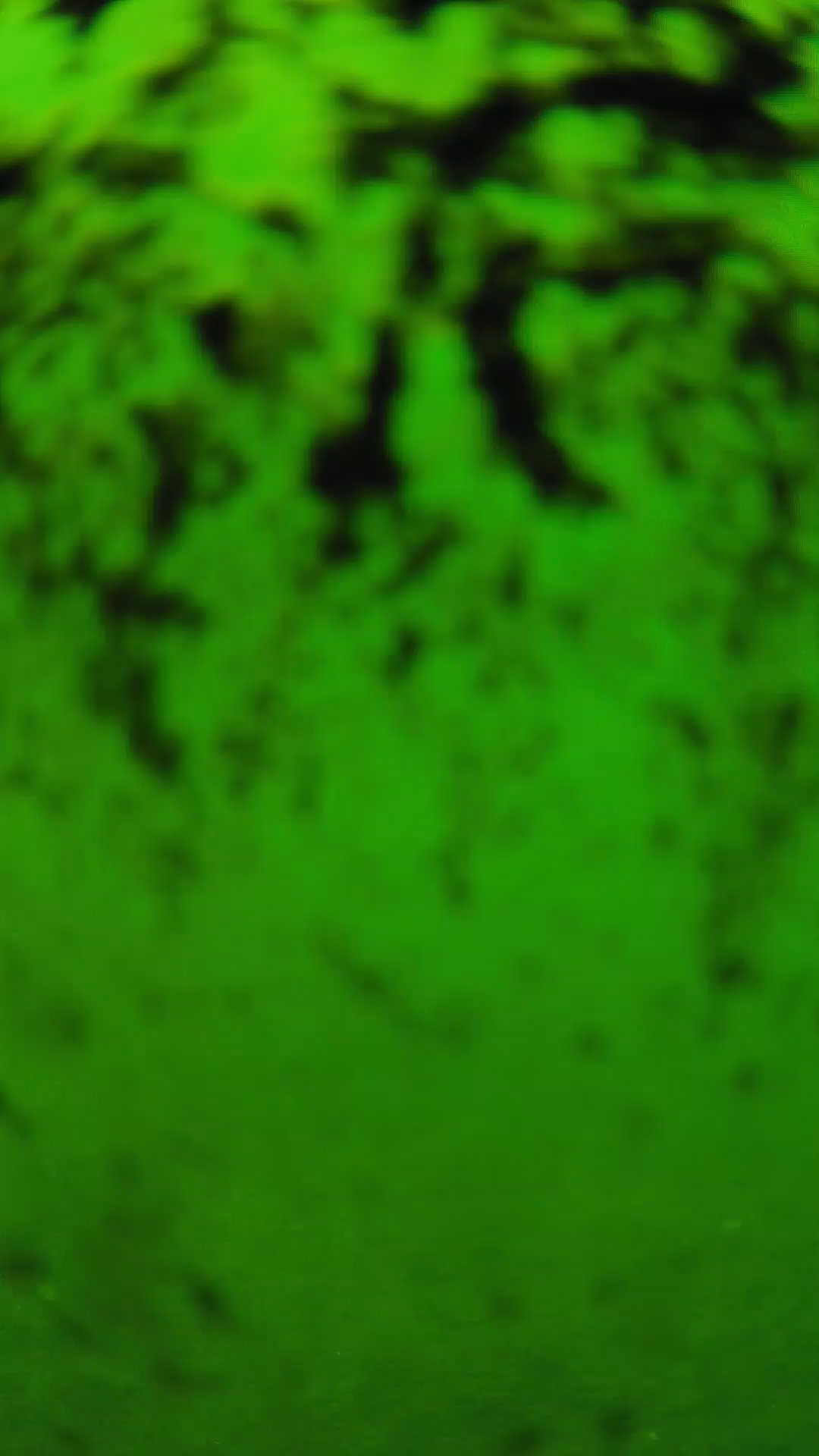 lander_ipcam_20240705120558.png