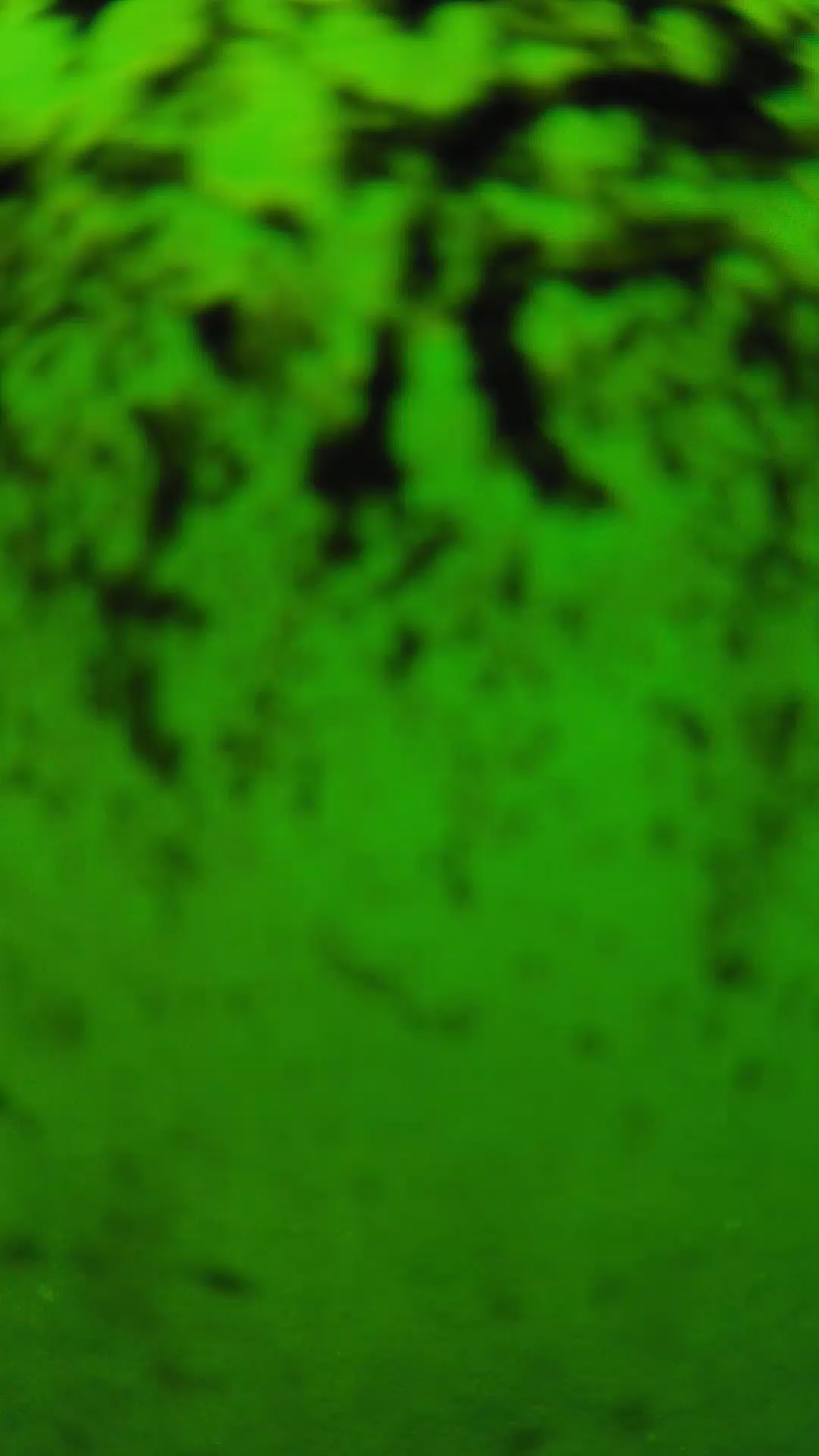 lander_ipcam_20240705120602.png