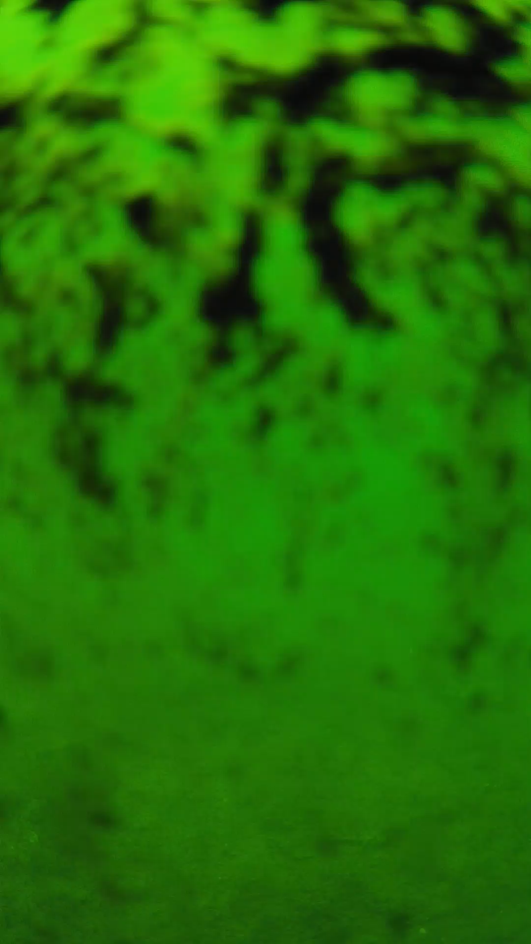 lander_ipcam_20240705123544.png