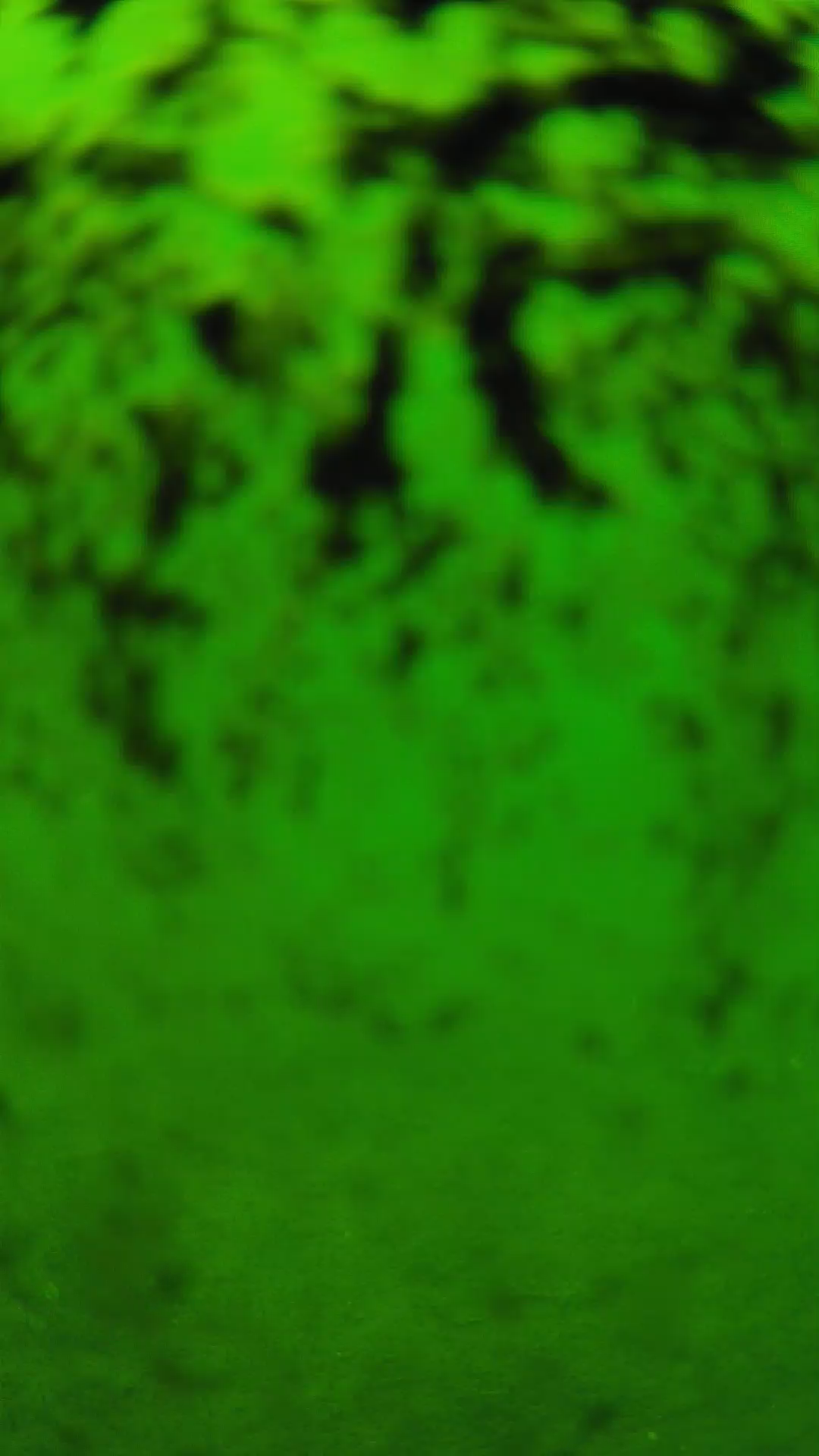 lander_ipcam_20240705123559.png