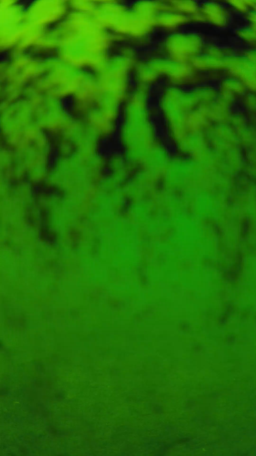 lander_ipcam_20240705130559.png