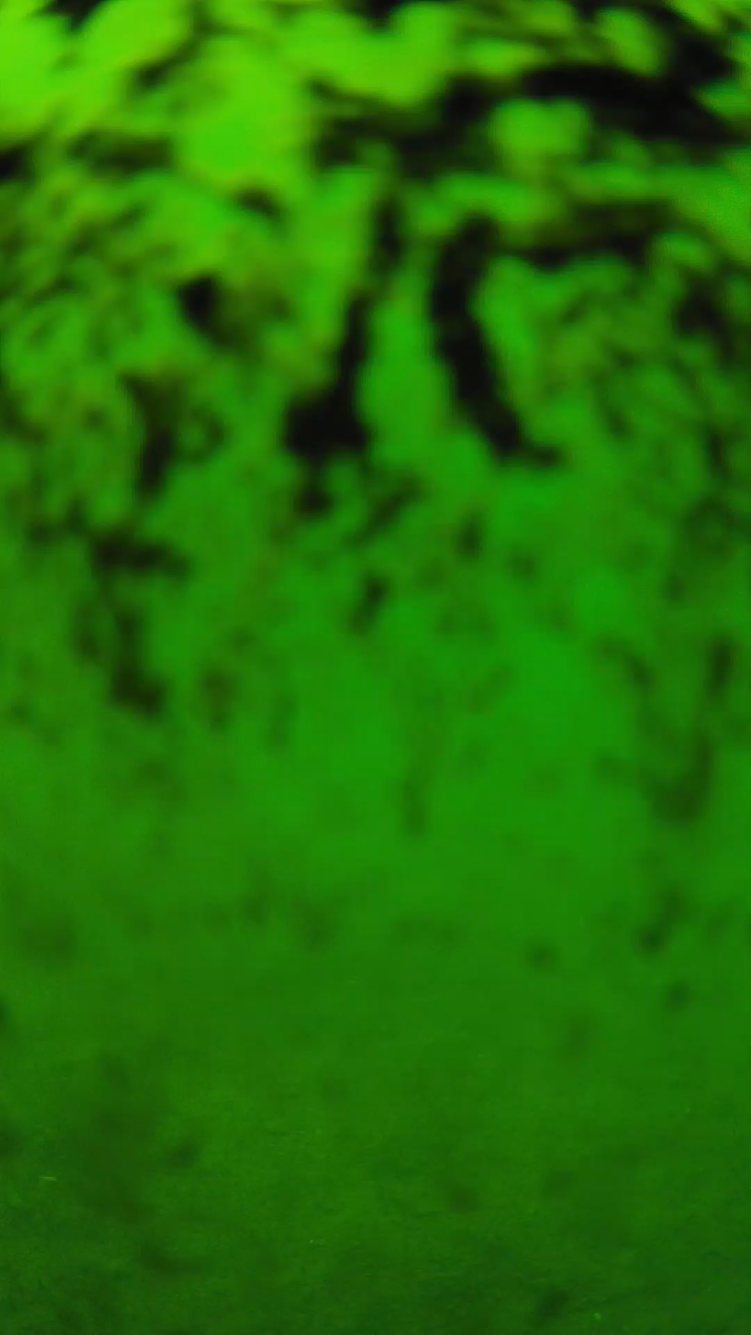 lander_ipcam_20240705130608.png