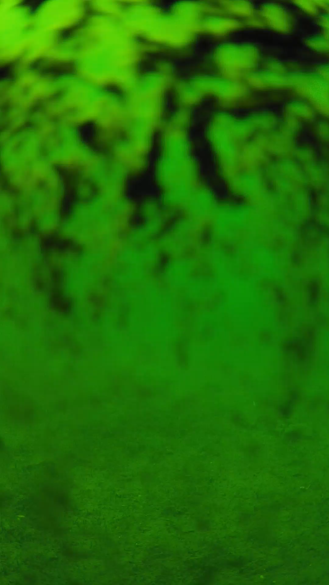 lander_ipcam_20240705133538.png